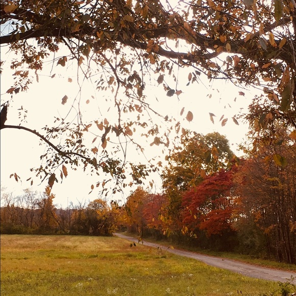 Make offers. I give discounts! - Picture 1 of 1